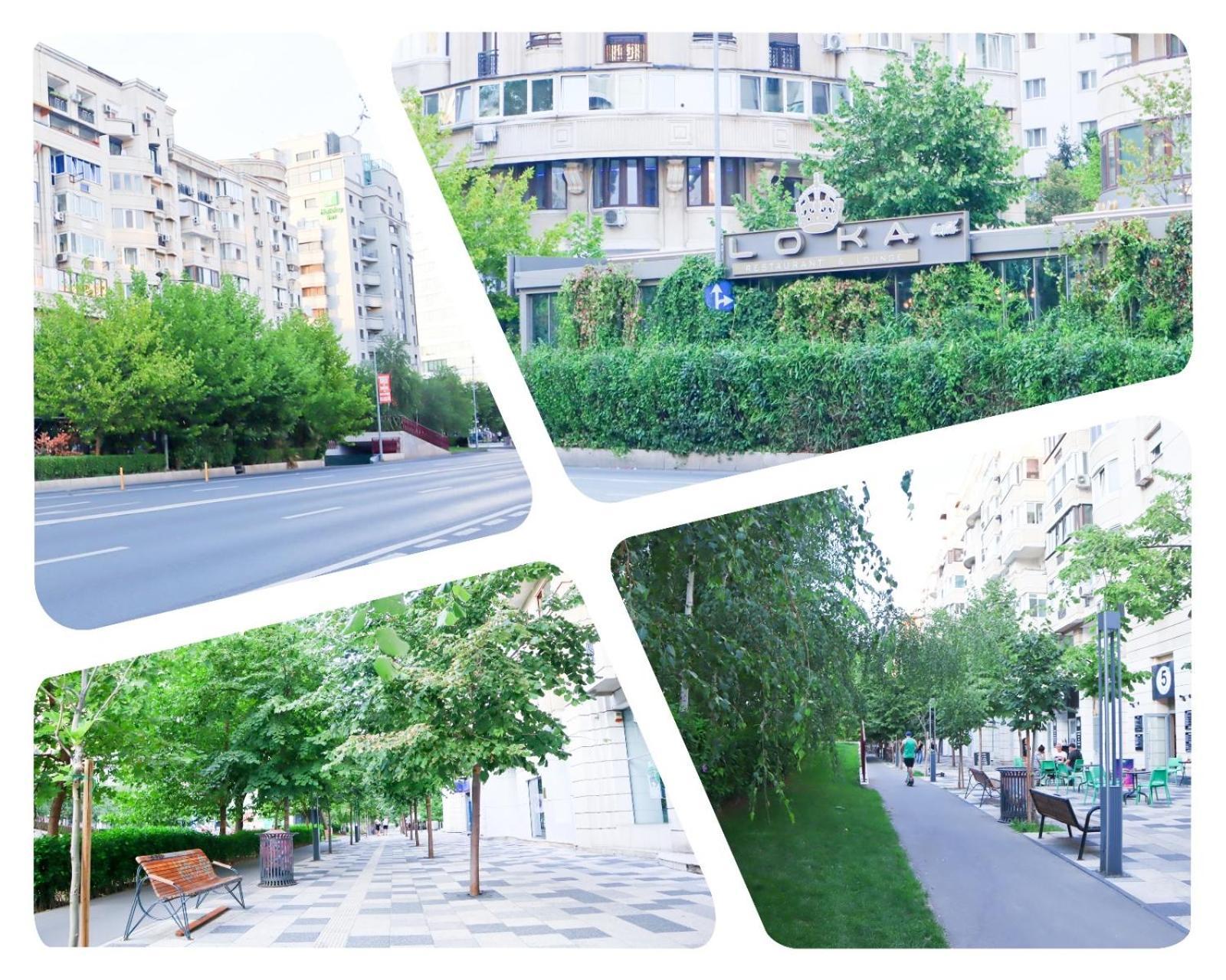Central Apartament Bulevardul Decebal Бухарест Экстерьер фото